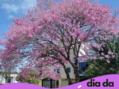 Page text 63380175de05a19f49d17e45546da921
