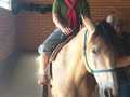Gallery small 1221e5339afd33da71b3db1593c34c65