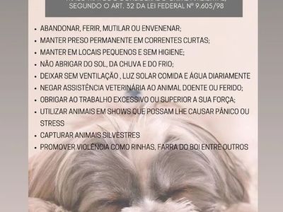 Page text e211838974f541de9ca8213c14a6b1e7